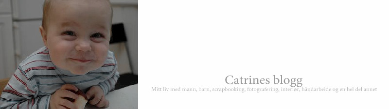 Catrines blogg