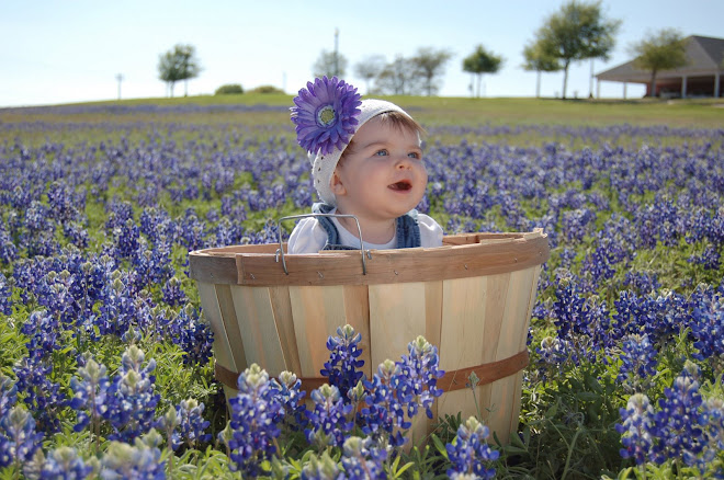 Beautiful Trinity in Texas Bluebonnets