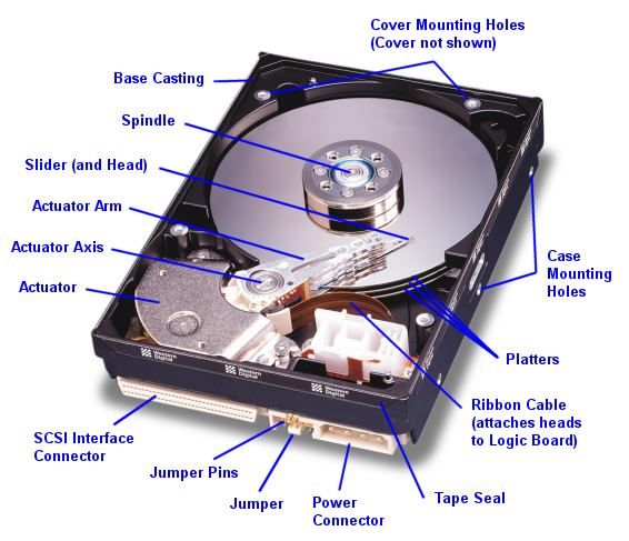 Cyber Mania: Types of Magnetic Storage Devices of a Computer