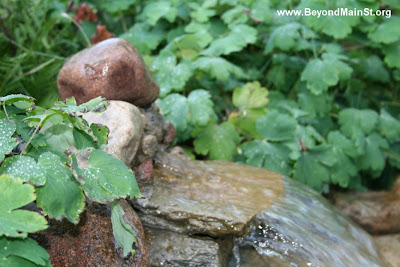 waterfall with columbine