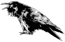 Crow