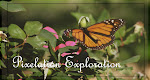 Learn About Photography At::