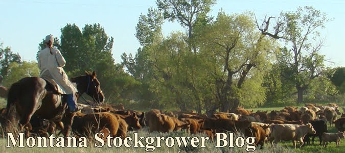 Montana Stockgrower Blog
