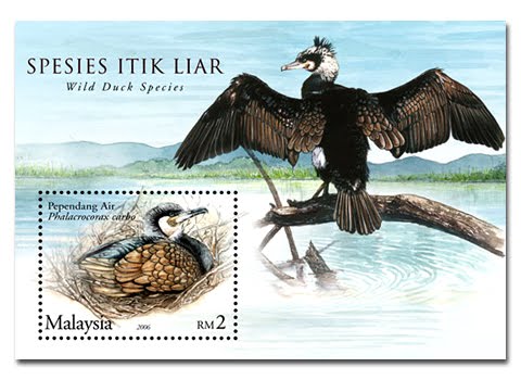 Ainul Mardziah Blogspot Malaysian Ducks Series