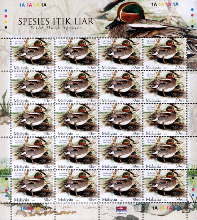 Ainul Mardziah Blogspot Malaysian Ducks Series