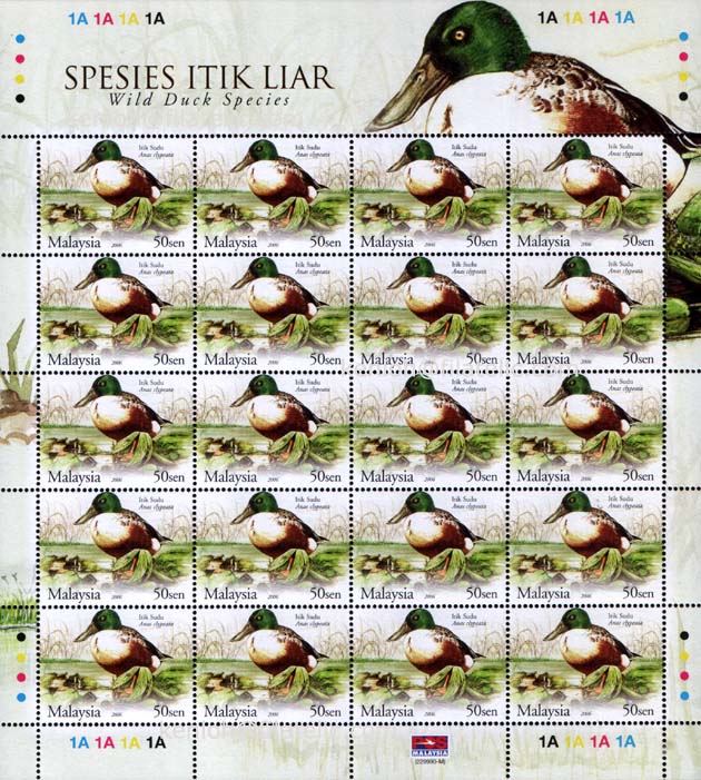 Malaysian Ducks Series Ainul Mardziah Blogspot