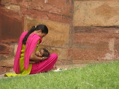 agra fort