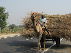 agra-jaipur