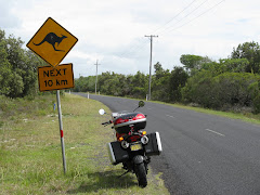 we've only seen dead ones--wallabies too