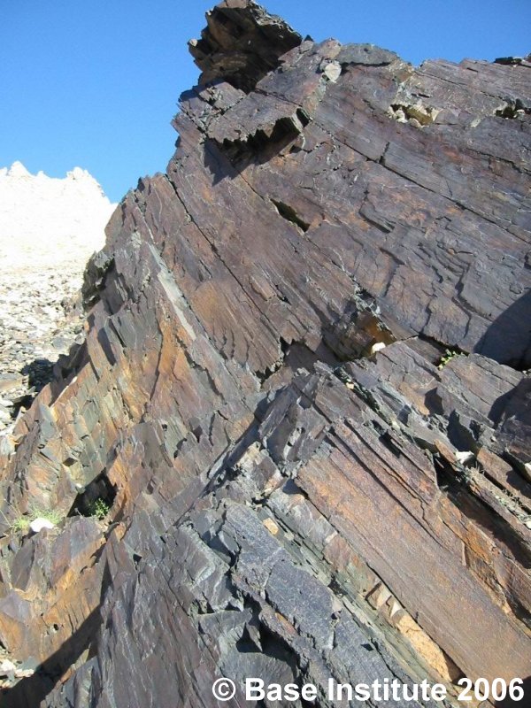 speed dating for age 50