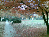 velki park v laskem izgleda dobro tudi ko dezuje velki park v laskem izgleda dobro tudi ko dezuje