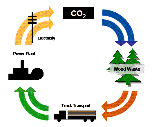 images for biomass