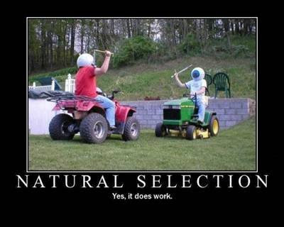 demotivational-posters-natural-selection-yes-it-do.jpg