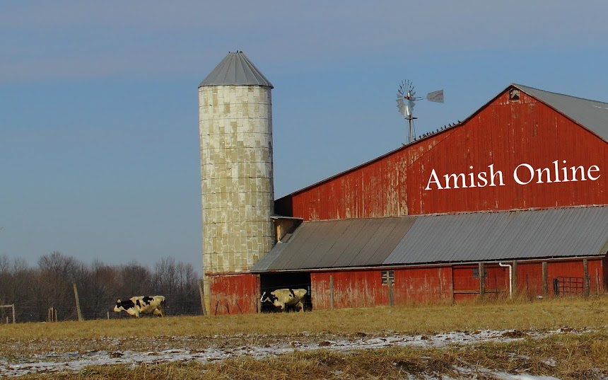 AmishOnline