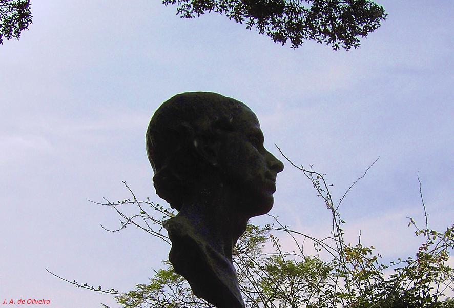 [PICT1711+-+Cópia+(2).JPG]