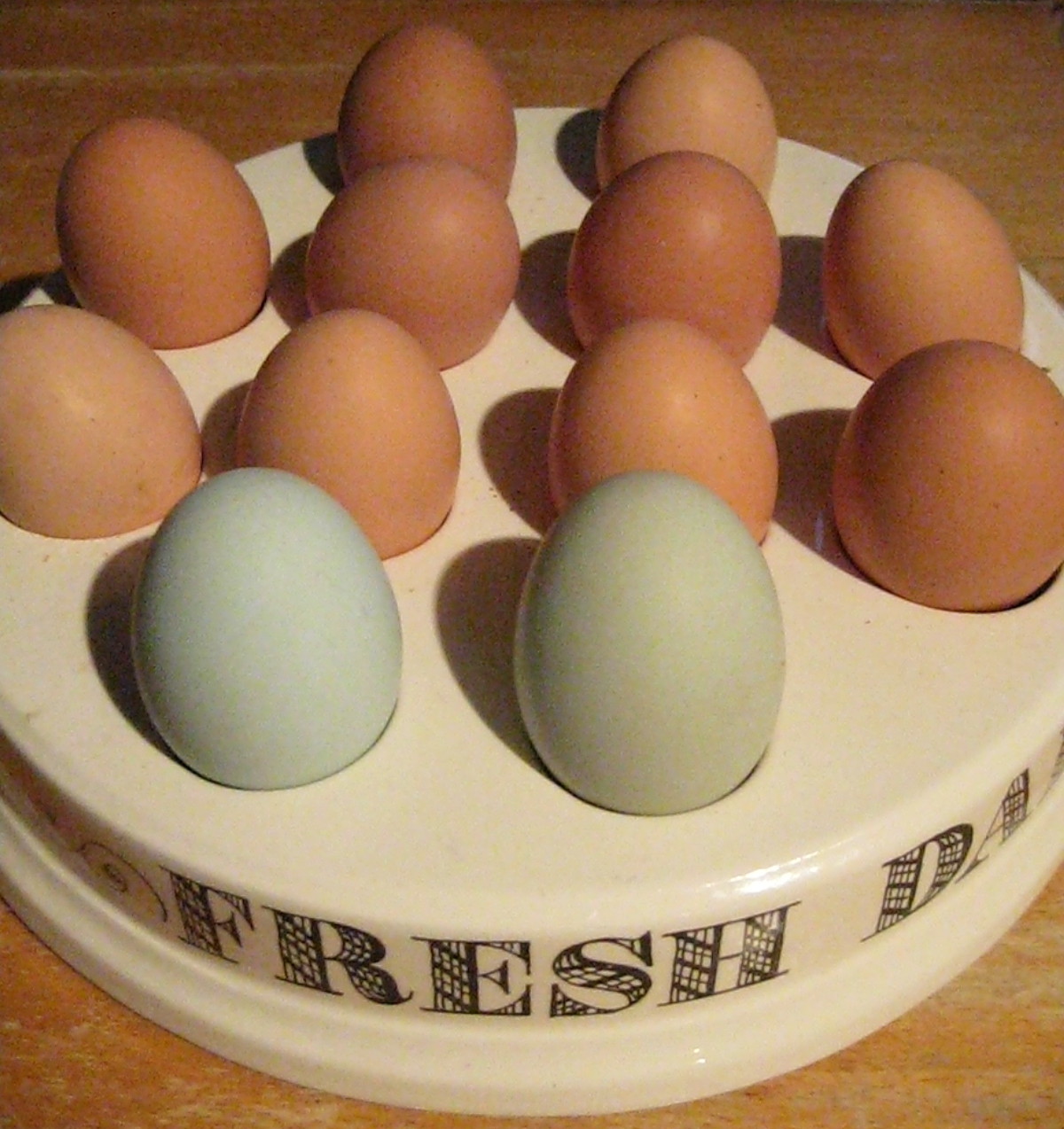 [eggs.jpg]