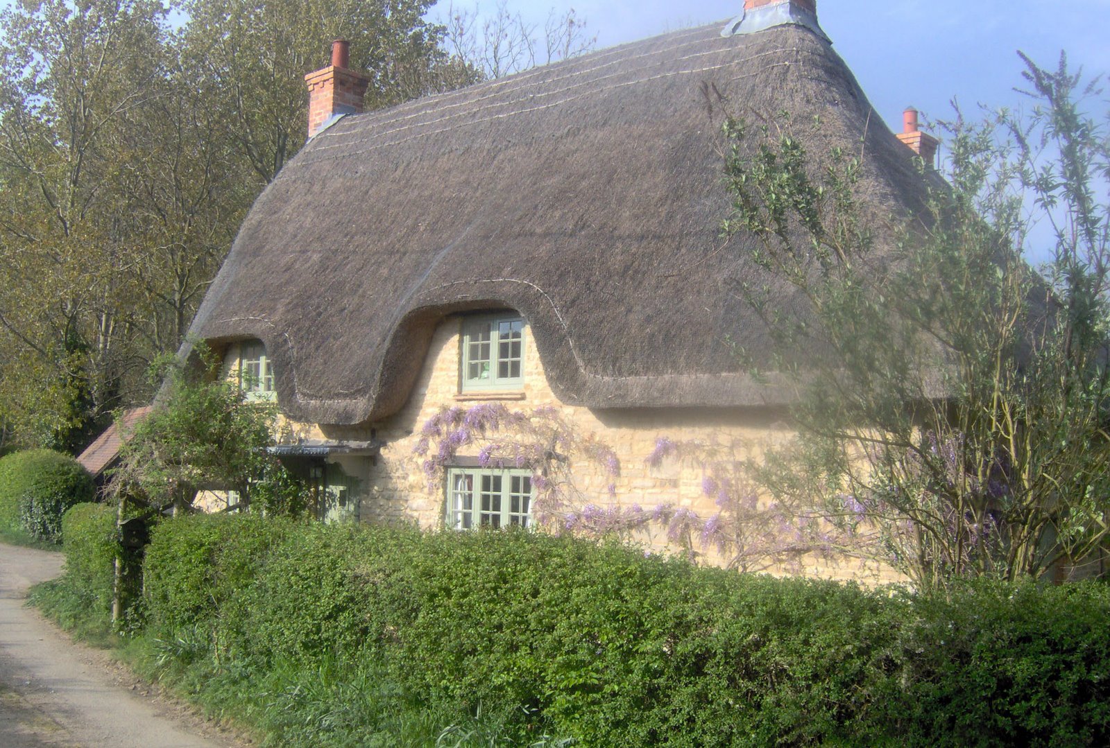 [IM000861_edited.JPG]