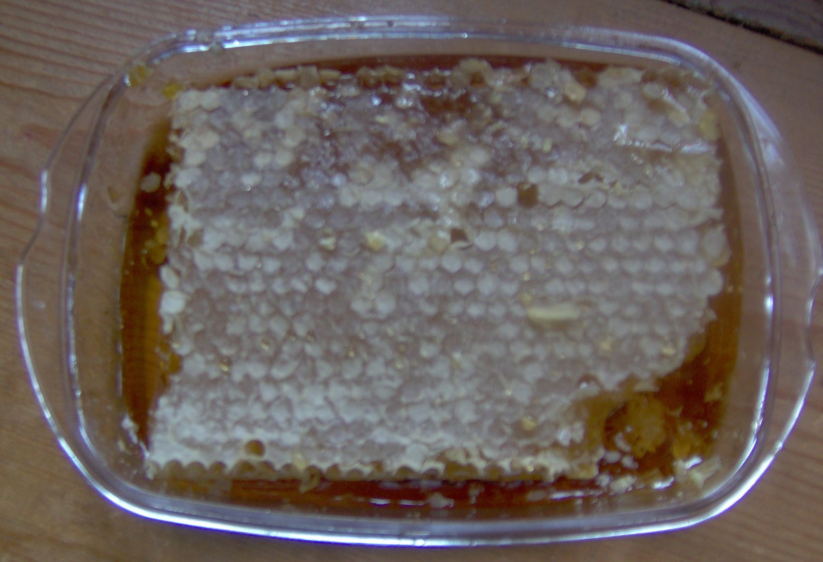 [IM000063_edited.JPG]