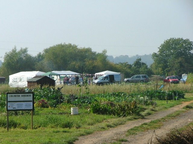 [Allotment+1.JPG]