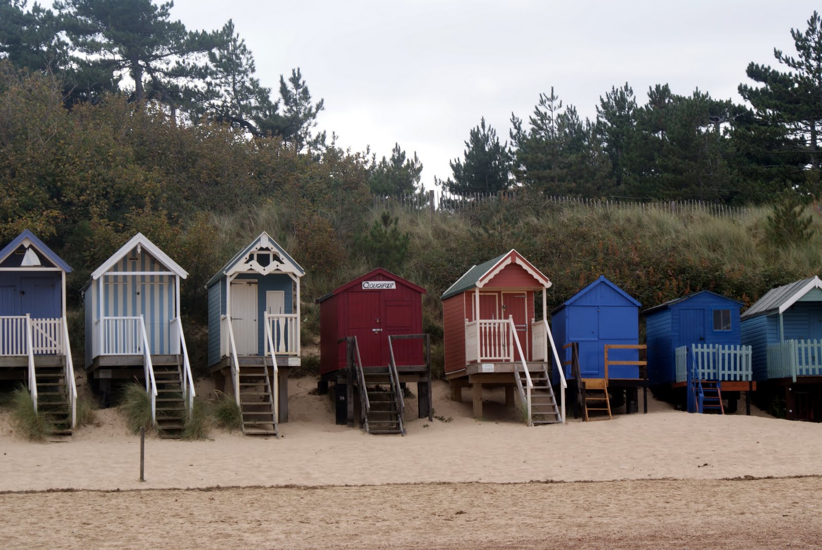 [dsc02105+(Modified).jpg]