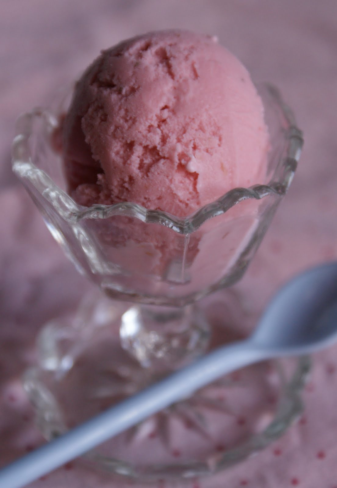 [dsc02414+(Modified).jpg]