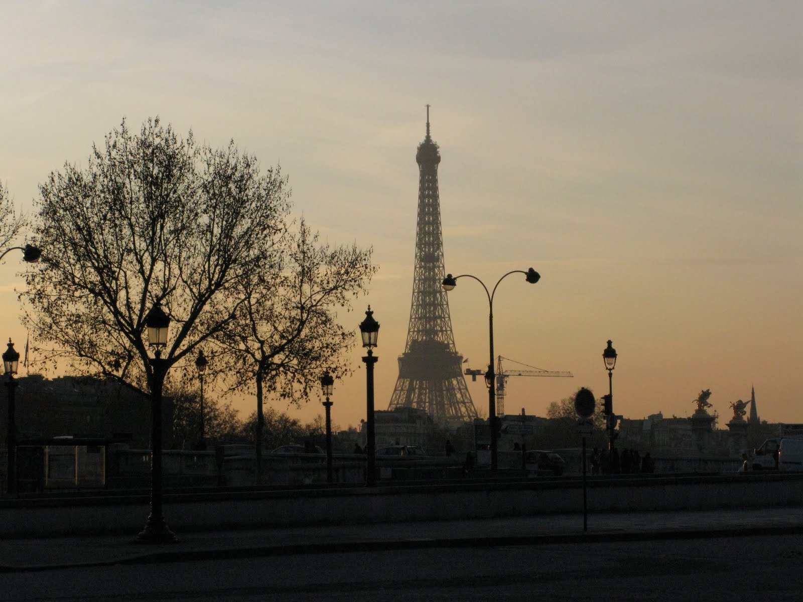 [IMG_0526.JPG]
