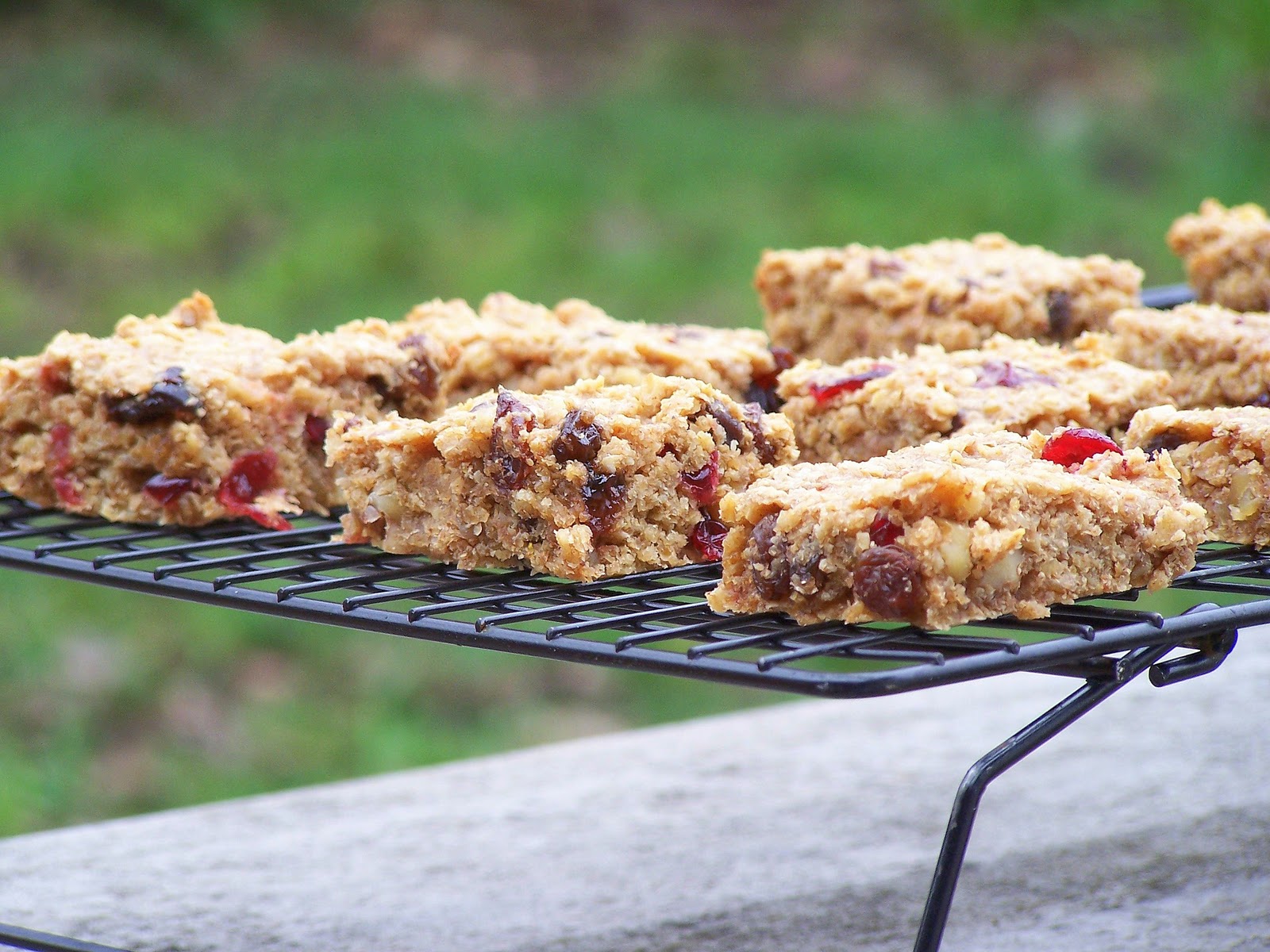 Meal Planning Made Simple Snack Idea Walnut Dried Cherry Bars