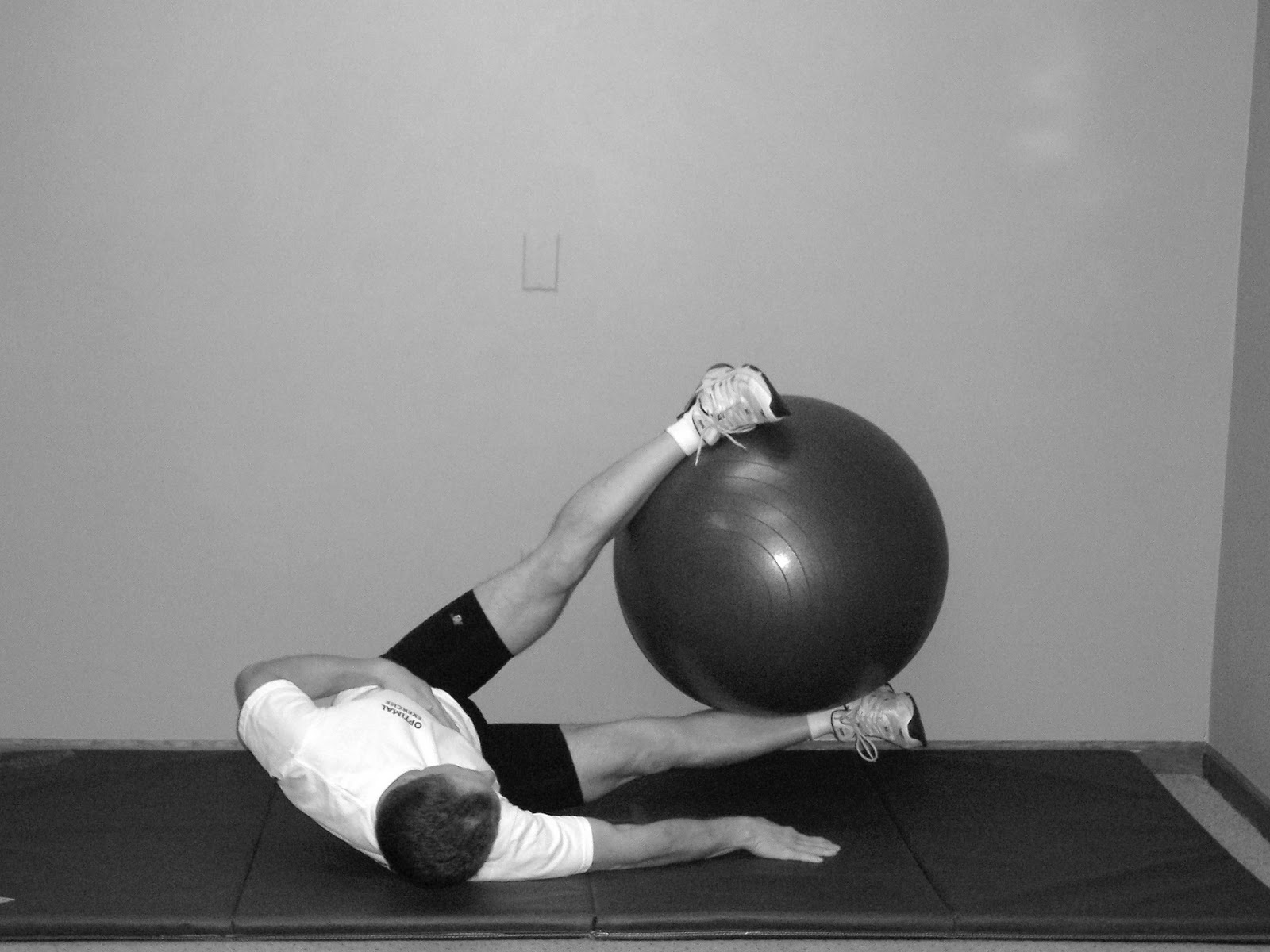 Conditioning Research Optimal Exercise Guide The Bodyblade Plus