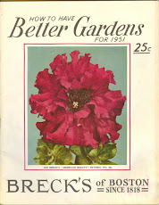 Vintage Seed Packets