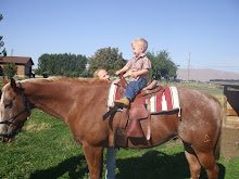 A Ride on a Horsey