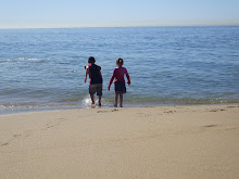 The Beach