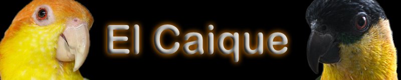 El Caique