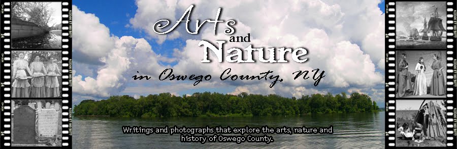 Arts and Nature in Oswego County, New York