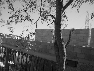 LINEAS DE CONCRETO: SALON DE FIESTAS