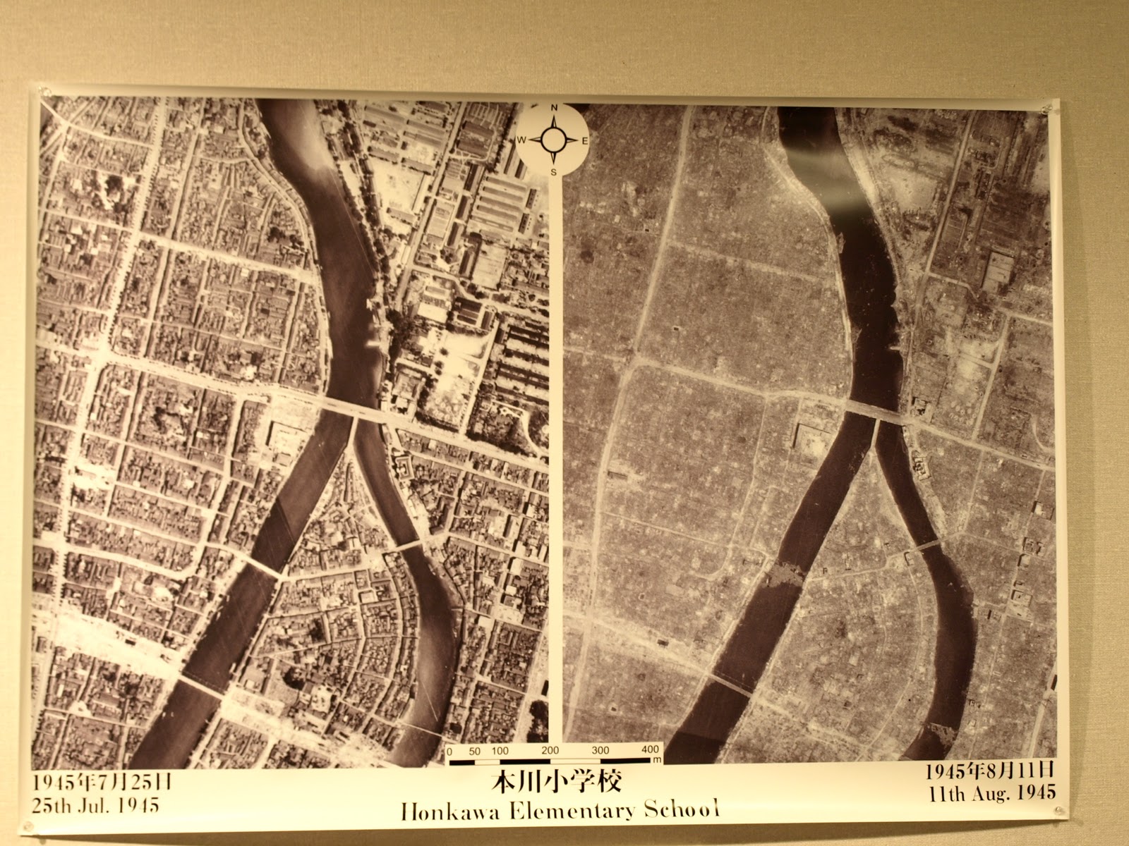 Ginkgo Biloba Hiroshima