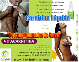 L-Carnitina (Líquida)