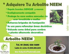 Arbolito NEEM