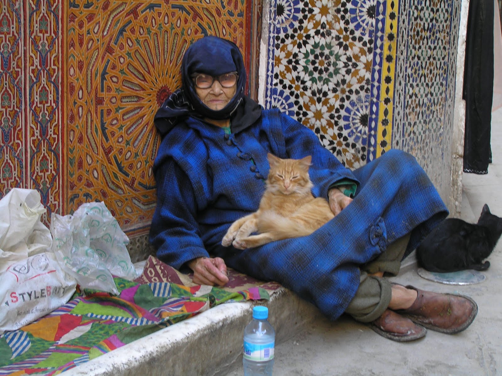Cat Salesman