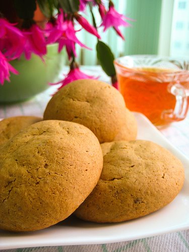 Molasses Cookies