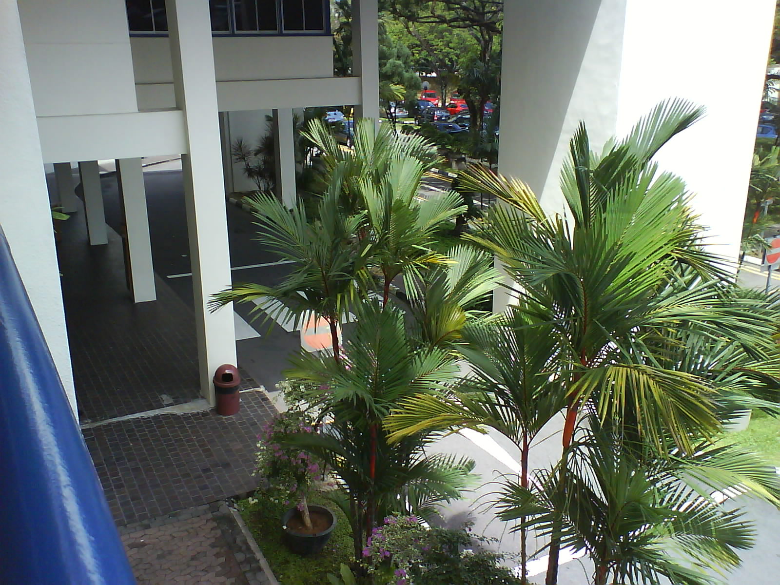 [DSC01981.JPG]