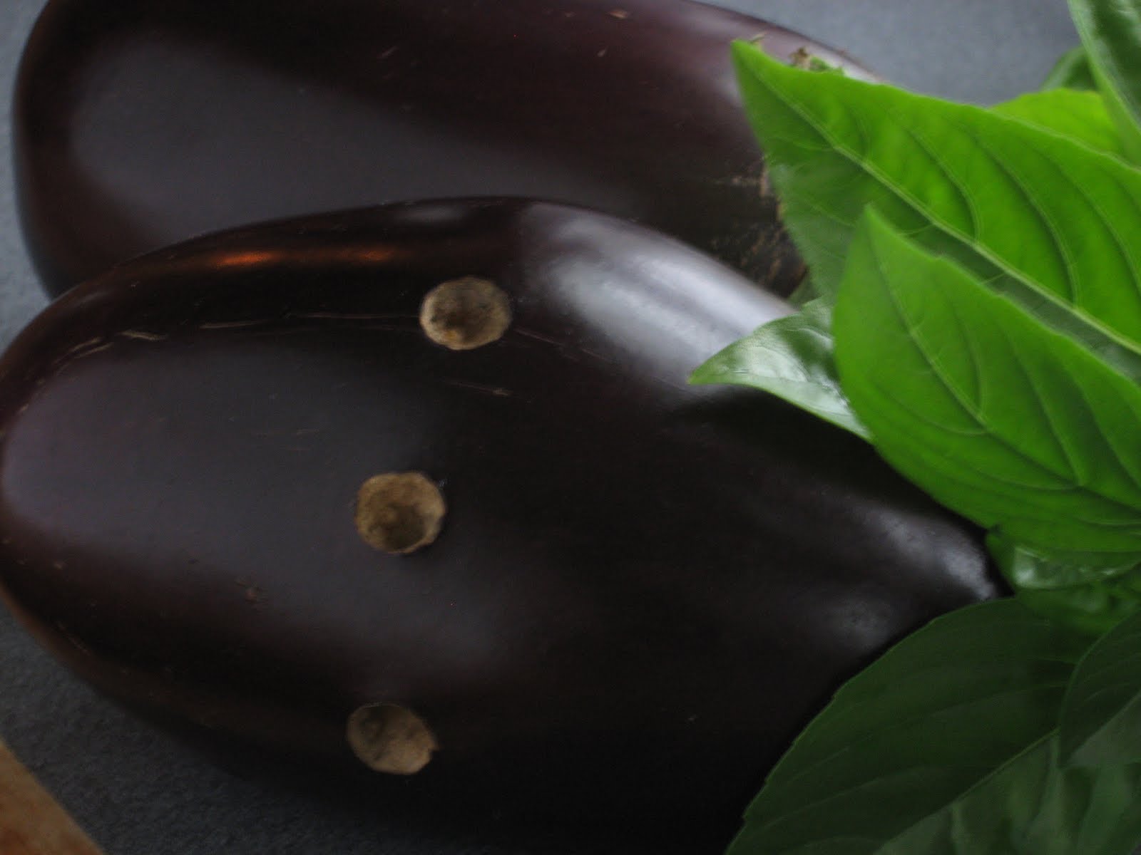 Hearth Arts Bring the Garden in Friday with Eggplant and Basil