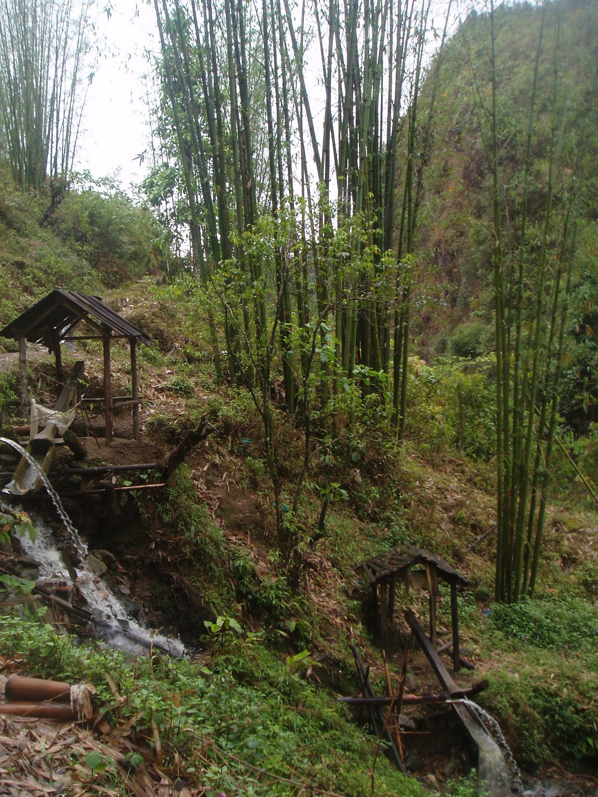 [P4020061.JPG]