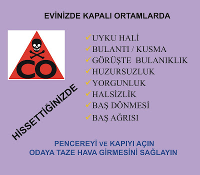 Kaliforniyalı guguk kuşu - mükemmel bir koşucu Kaliforniyalı guguk kuşu - mükemmel bir koşucu