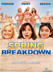 1600-Unutulmaz Tatil - Spring Breakdown 2008 Türkçe Dublaj DVDRip