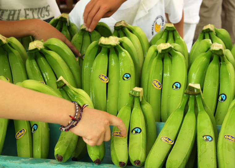 Banana Tour Ecuador About Asociación de Pequeños Productores Bananeros