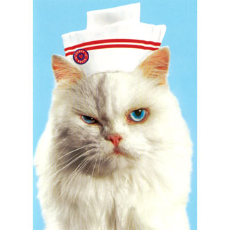 cat+nurse.jpg
