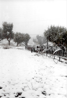 Retro Modern Upholstery Fabrics