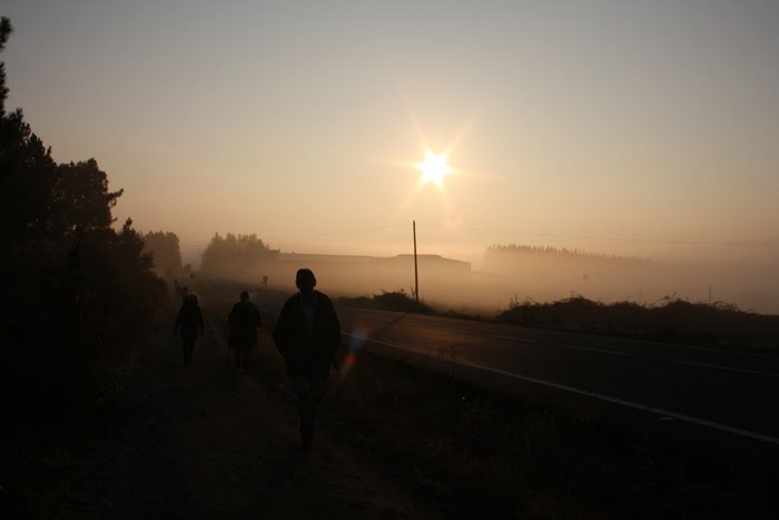 Camino de Santiago