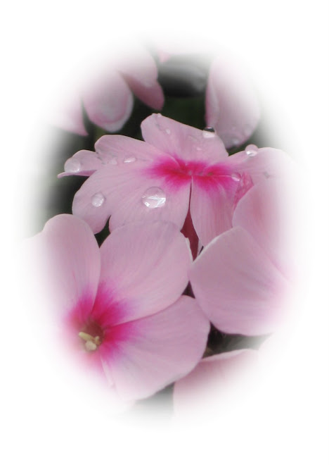 Think Pink!