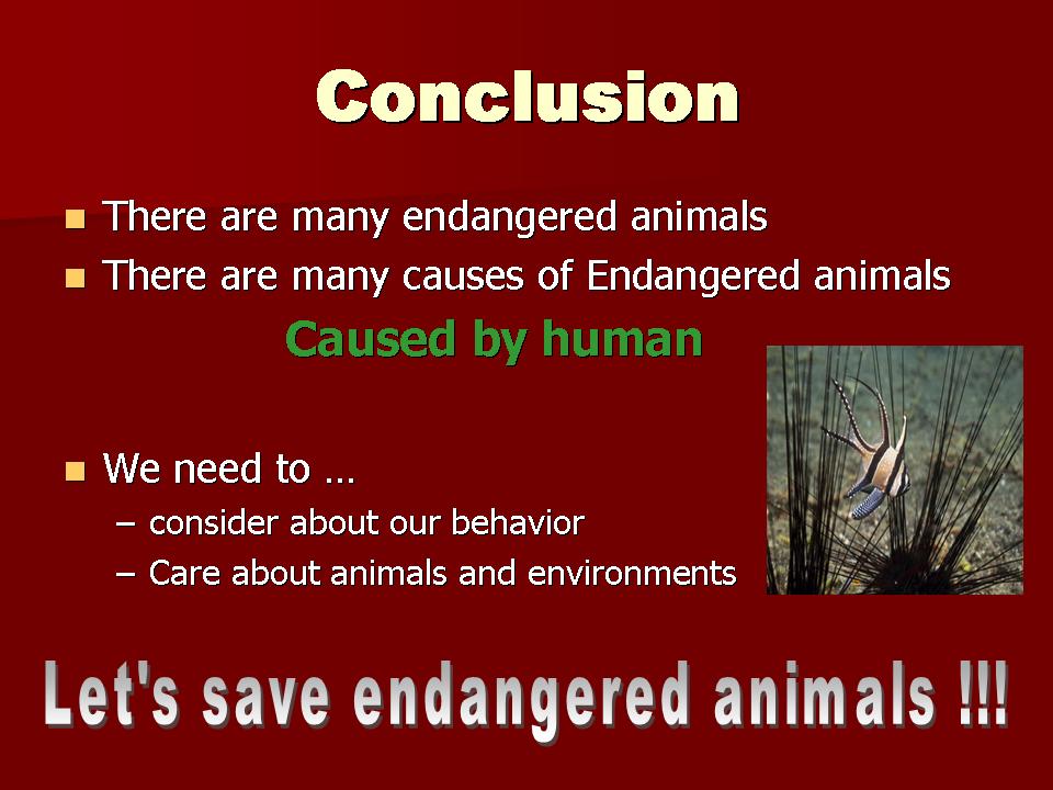 [Slide9.JPG]